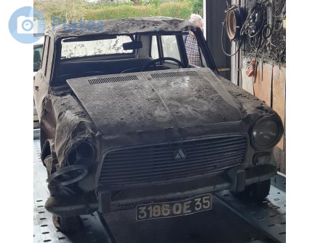 3186 QE 35, Autobianchi Primula