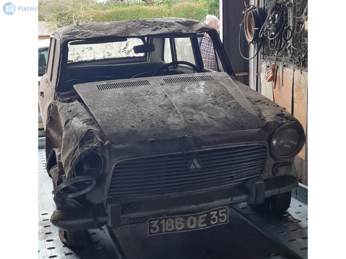 3186 QE 35, Autobianchi Primula 