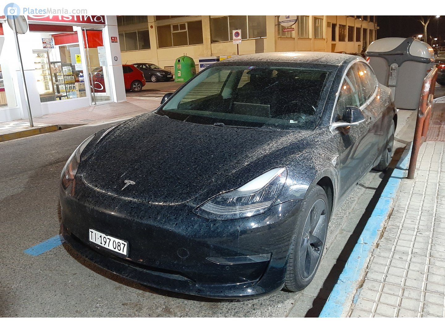 TI 197087, Tesla Model 3 1st gen (5YJ3), 2017–2023