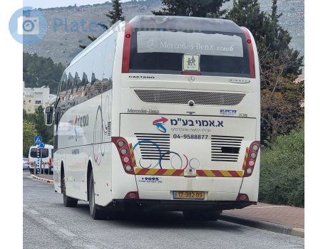 17-982-89, Caetano Winner