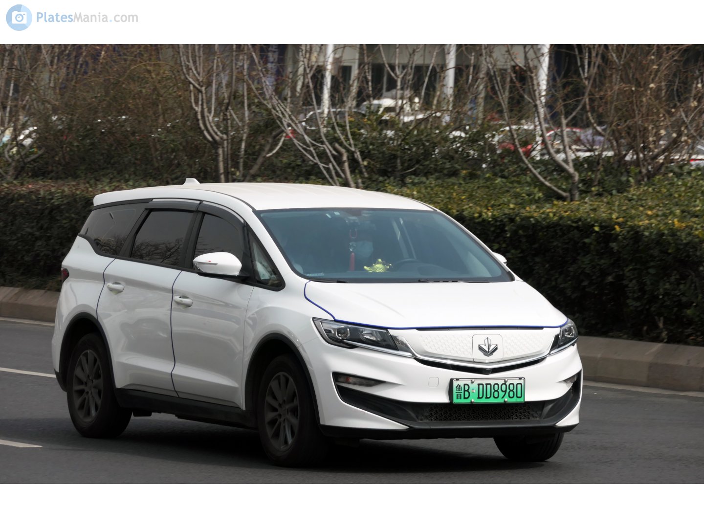 鲁B·DD8980, Maple 80V 