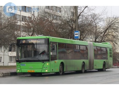 ае 555 60, MAZ 216