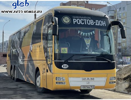 т001мн161, MAN Lion