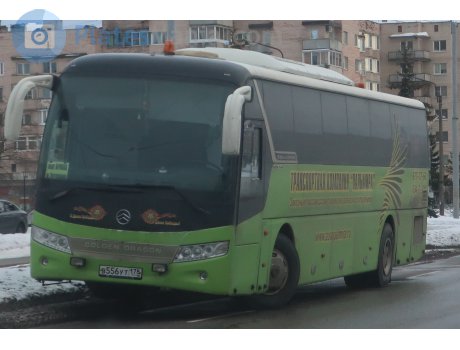 в556ут178, Golden Dragon XML6127