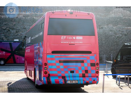 1-NHB-947, Orlandi Domino 2001