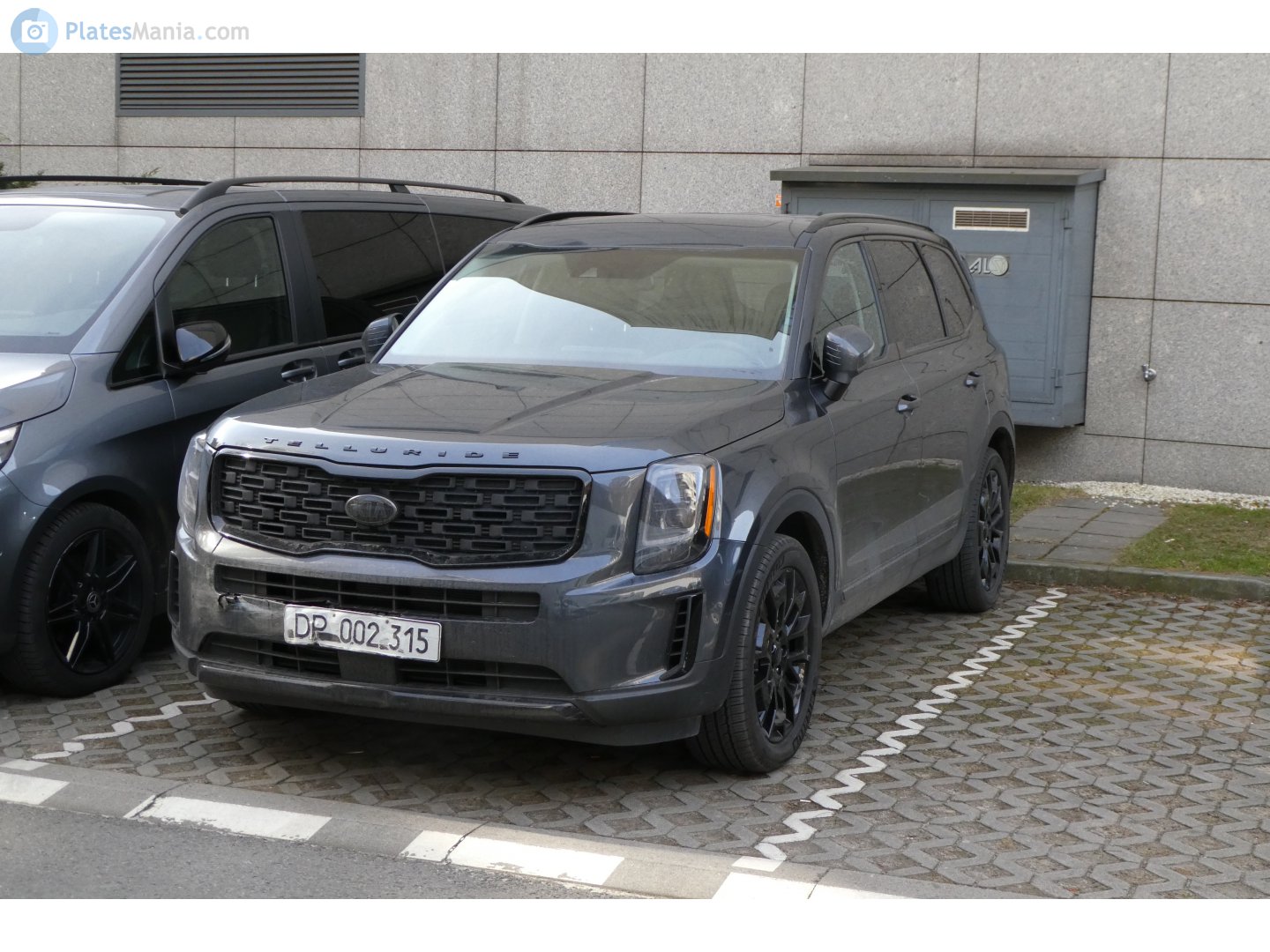 DP 002 315, Kia Telluride 1st gen (ON), 2019–2022