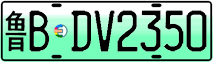 License plate of China, Electric vehicles