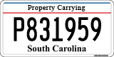 South Carolina, Property Carrying (P123456)