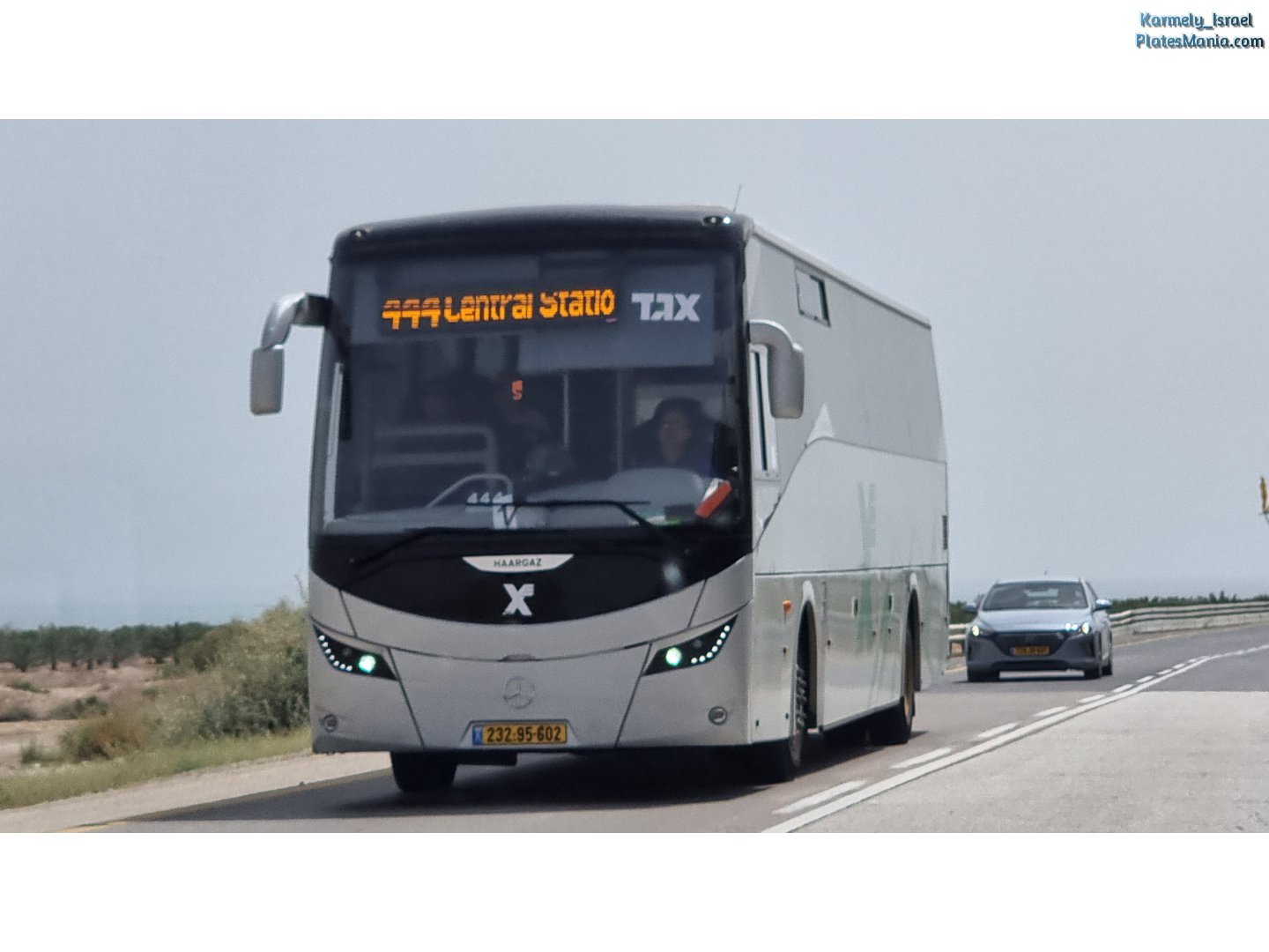 232-95-602, Haargaz Diamond 