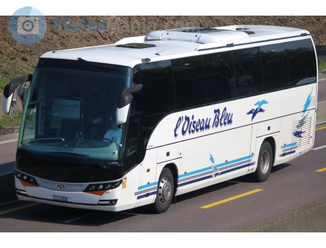 VS 29384, Beulas Aura