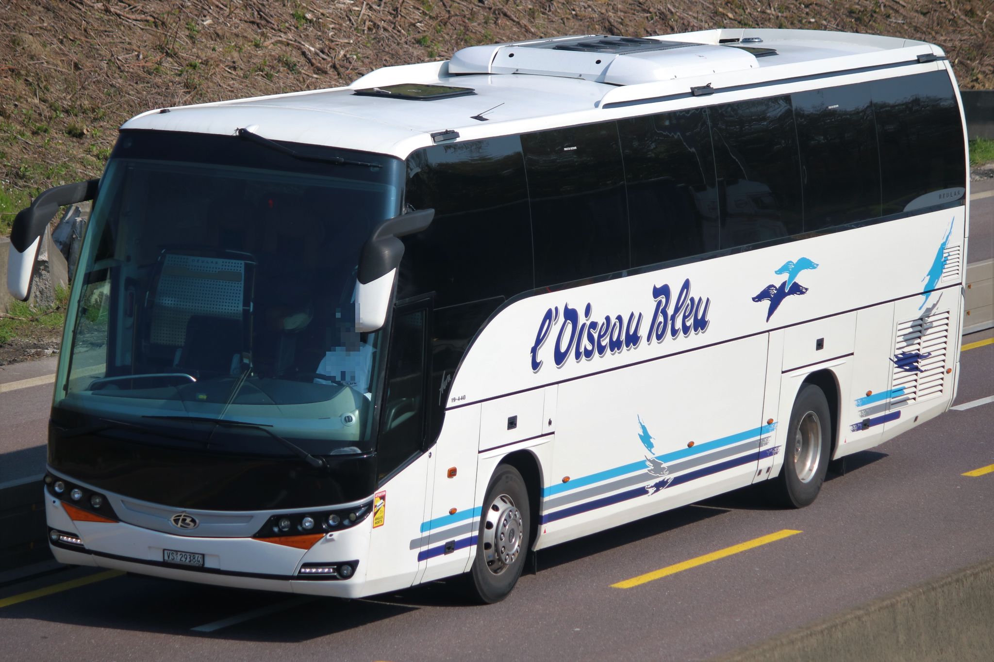 VS 29384, Beulas Aura 