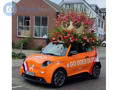 AC GO 305 E, e.GO Life