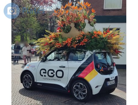 AC GO 264 E, e.GO Life