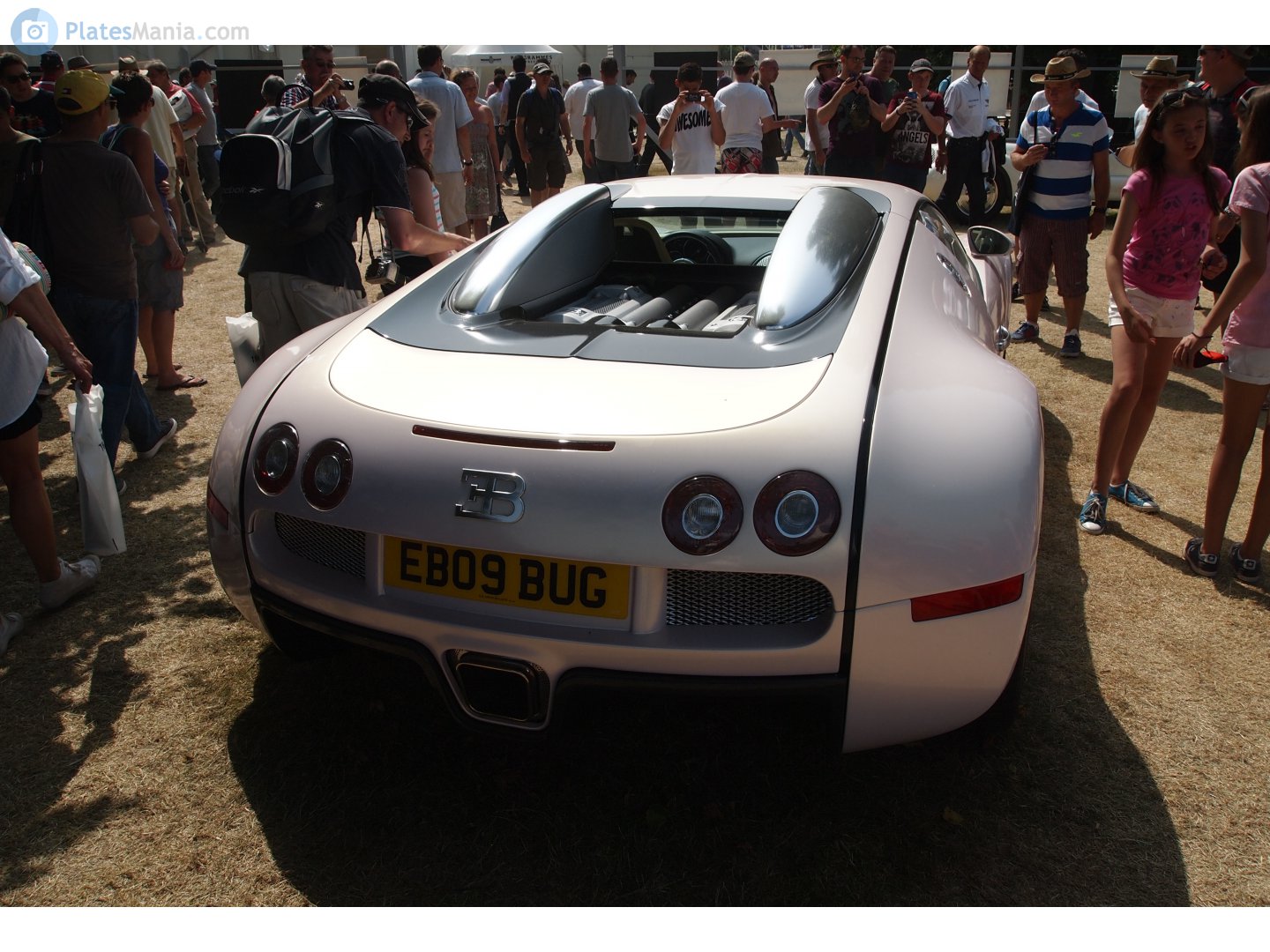 EB09BUG, Bugatti Veyron Coupe, 2005–2011