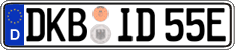 German license plate, Electric vehicles