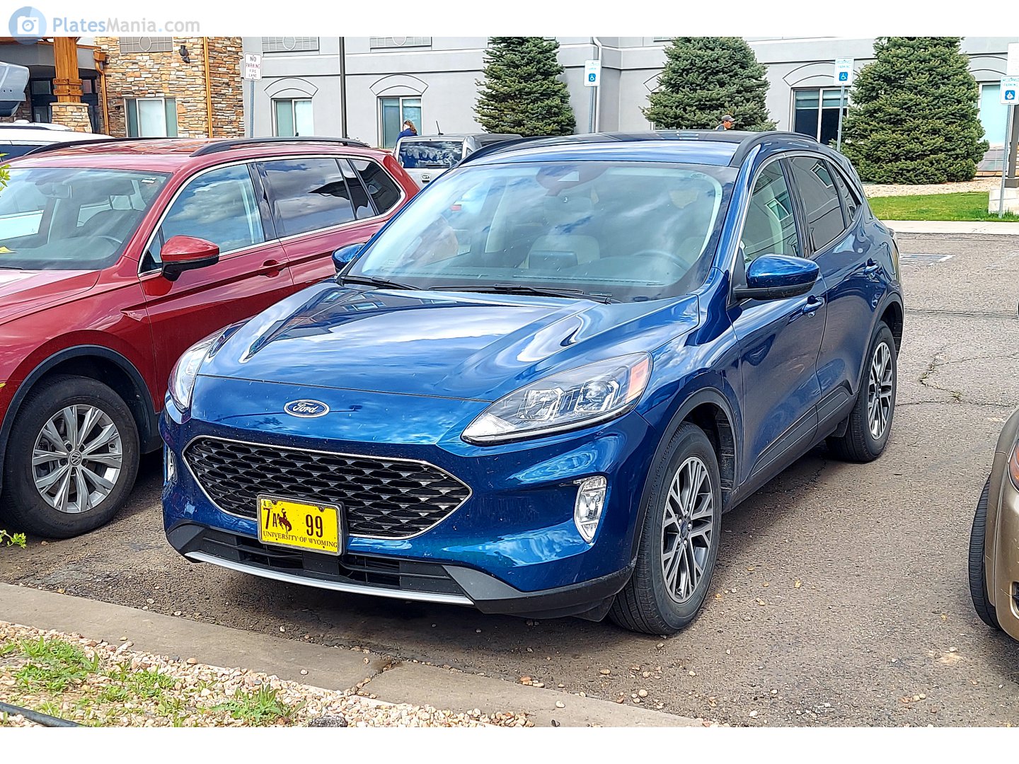 7 99, Ford Escape 4th gen (CX482), 2019–2022