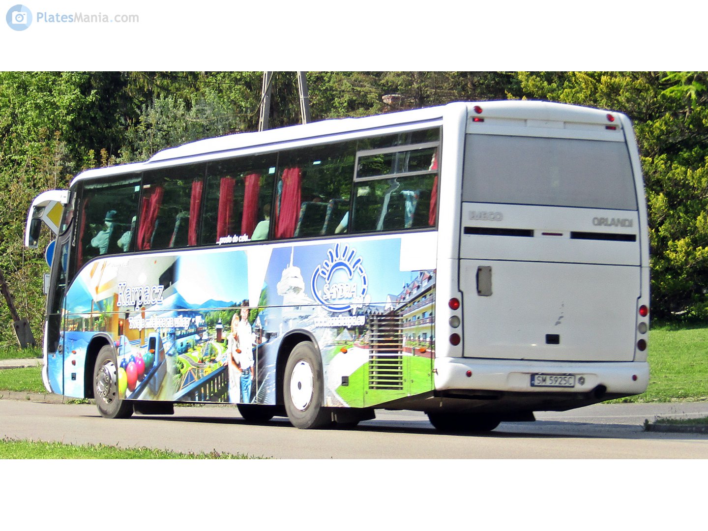 SM 5925C, Orlandi Domino 2001 