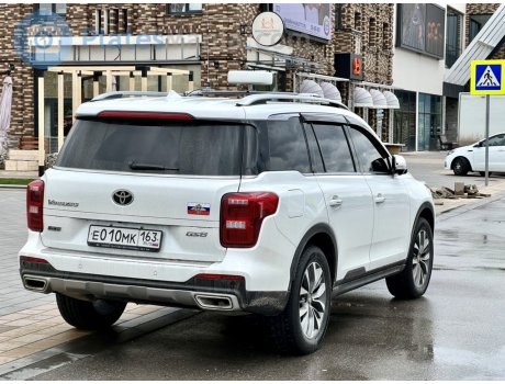 е010мк163, GAC GS8