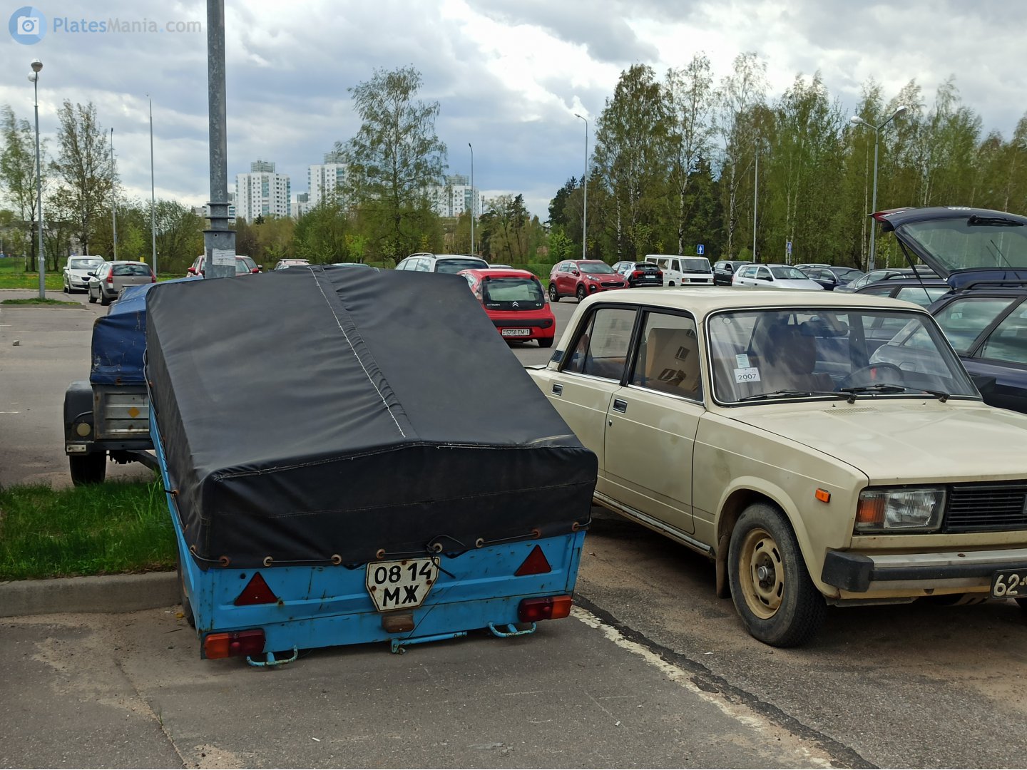 0814 МЖ, MAZ 8111/8114 