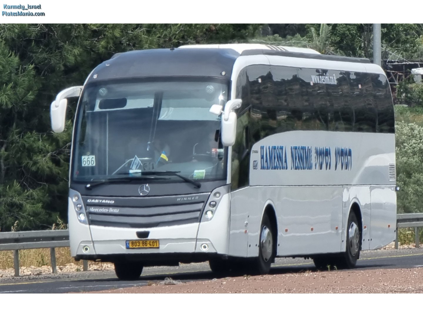 803-86-401, Caetano Winner 