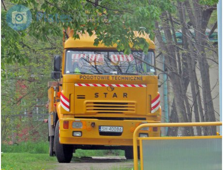 SH 40086, Star 742