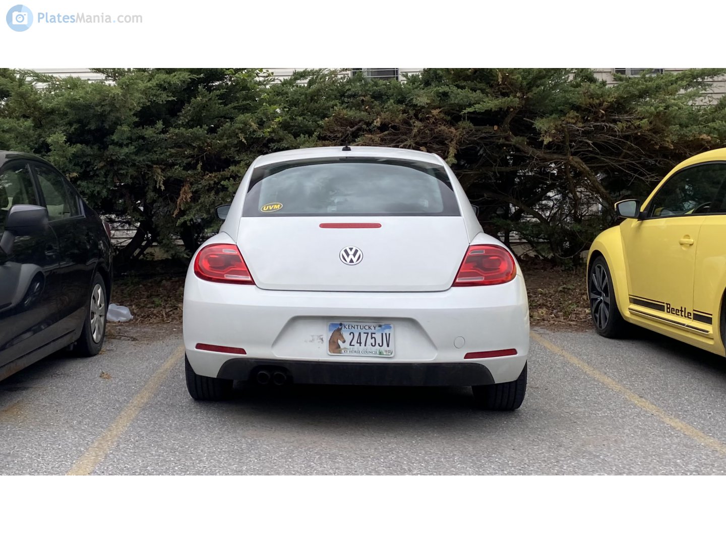 2475JV, Volkswagen Beetle 3rd gen Coupé (A5), 2011–2016