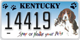 Kentucky, Vanity Plates