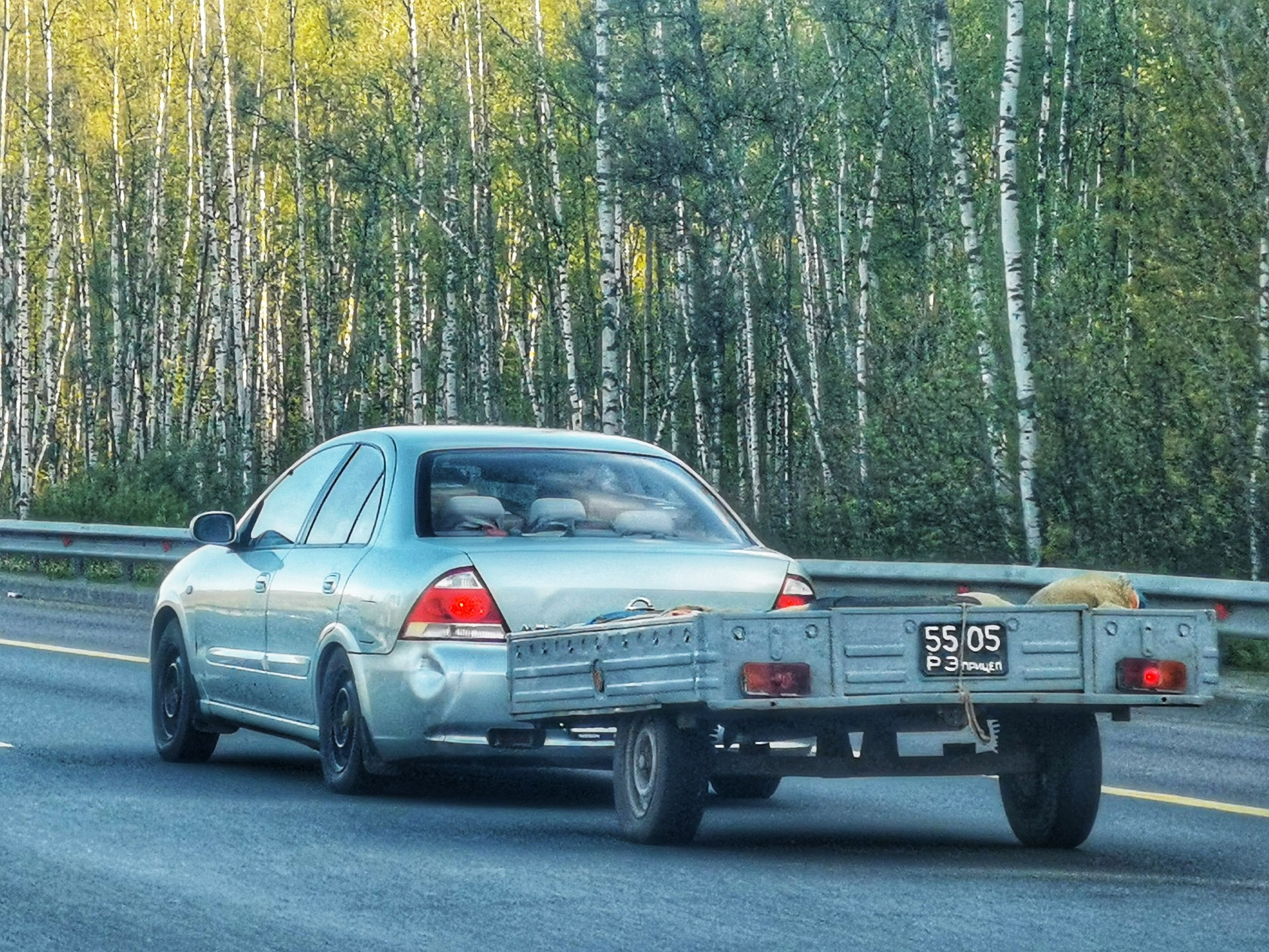 5505 РЗ, BAZ (BZKT) 8142 