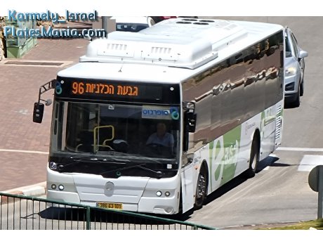 386-63-101, Golden Dragon XML6125