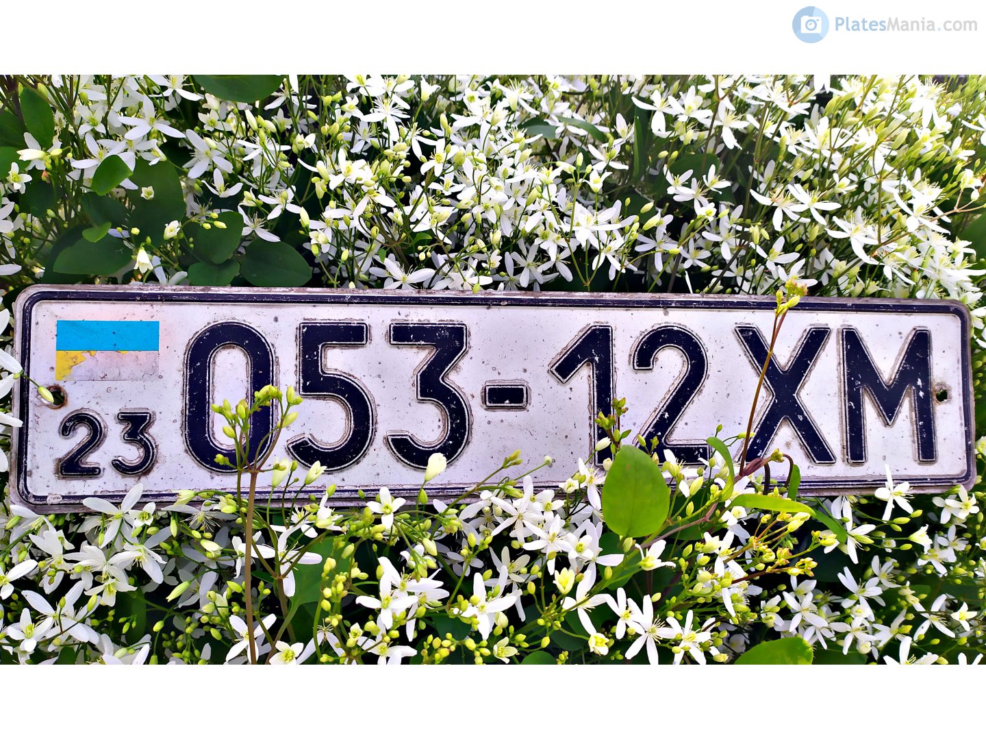 23 053-12 XM, License plate without vehicle 
