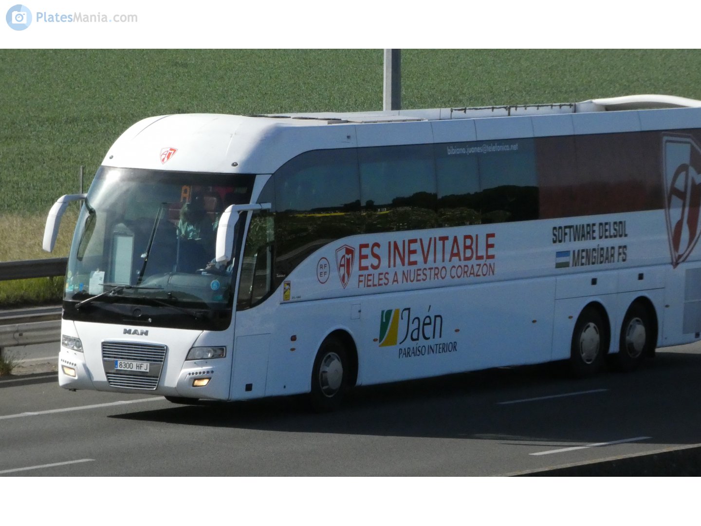 8300 HFJ, Tata Hispano Xerus 