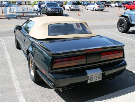 3DXF274, Pontiac Firebird