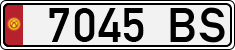 License plate of Kyrgyzstan, Organizations (1994)
