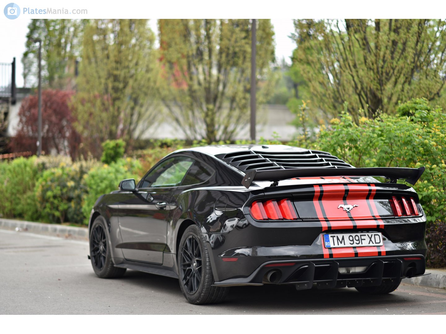 TM 99 FXD, Ford Mustang 6th gen 2-door Coupé (S550), 2014–2017