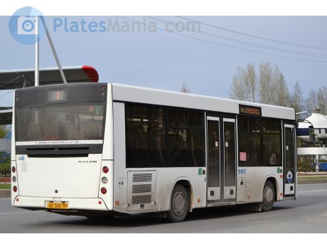 вв 560 86, MAZ 206