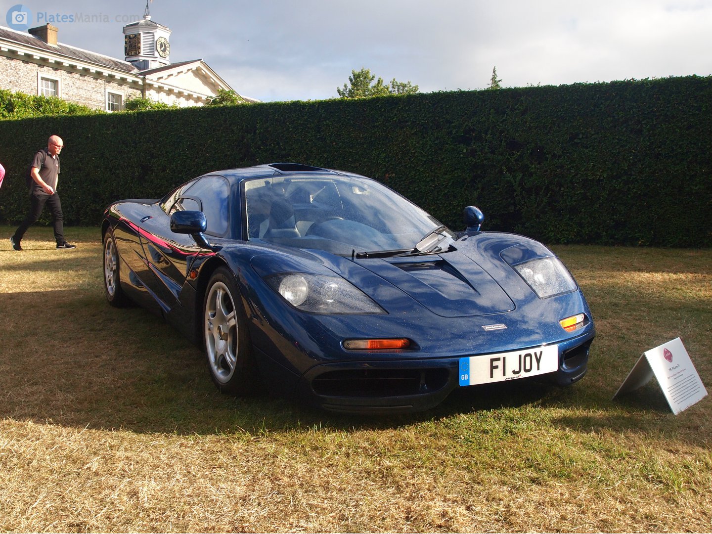 F1JOY, McLaren F1 F1, 1993–1998