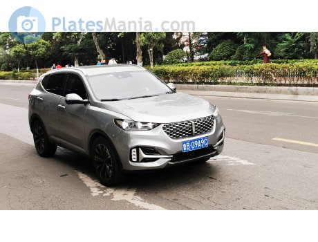 鲁B·09A9C, WEY VV6