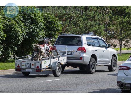 BFA 69 02, Saris McAlu Pro