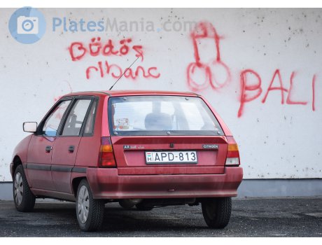 APD-813, Citroёn AX