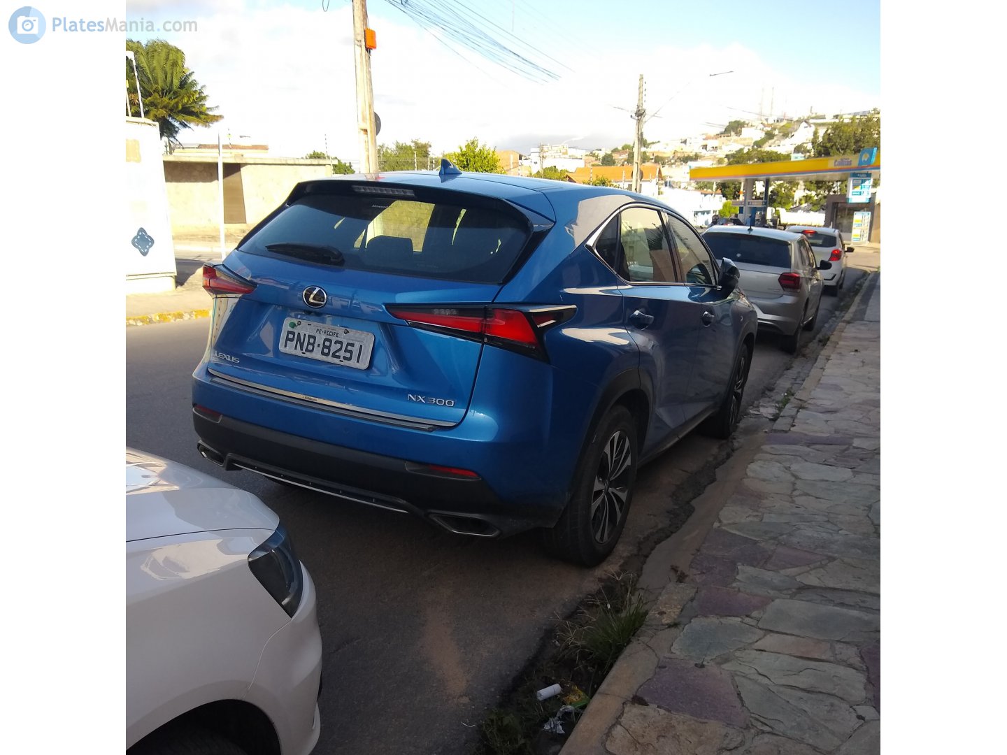 PNB-8251, Lexus NX 1st gen (AZ10), facelift, 2017–2021