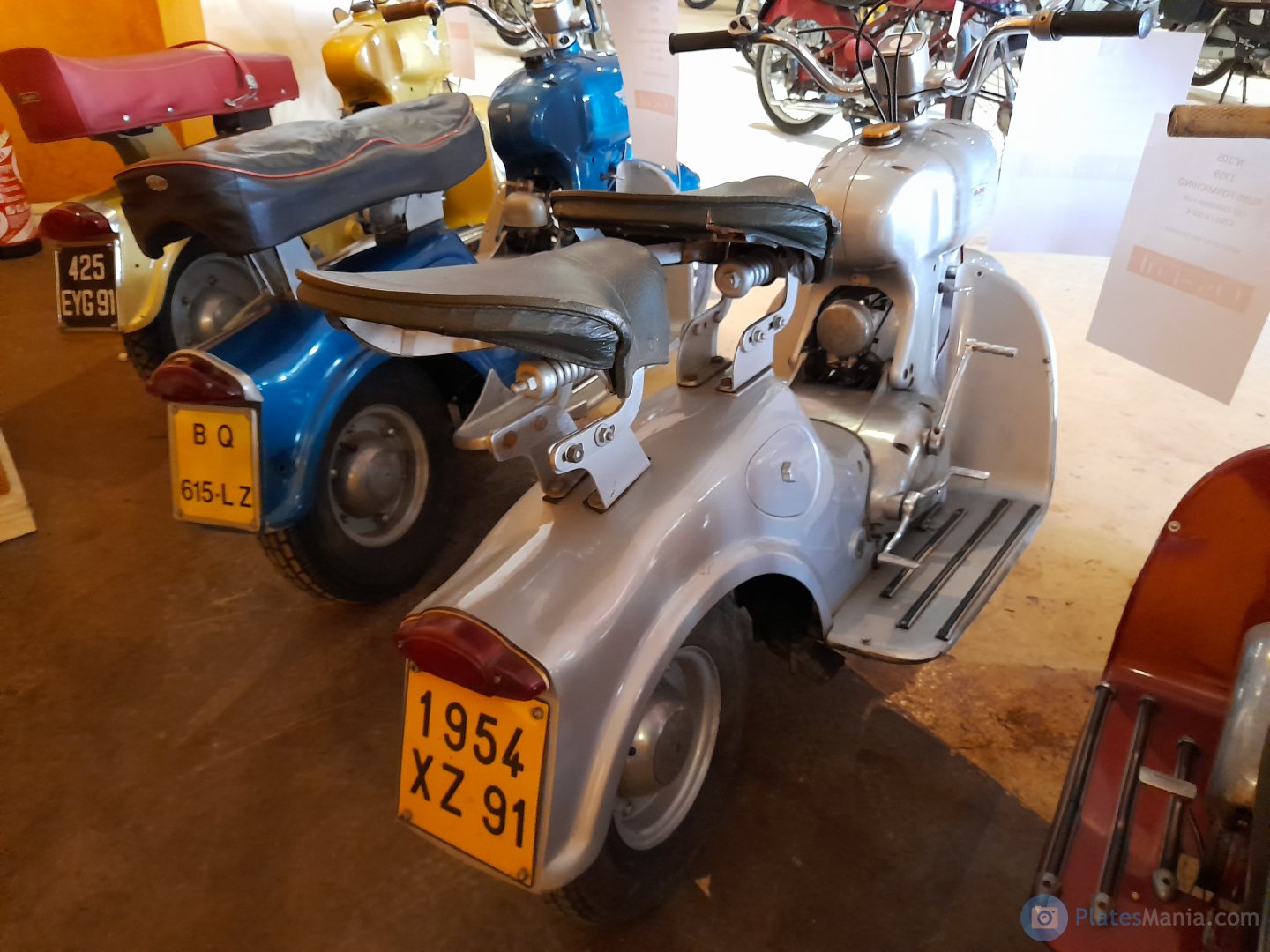 1954 YZ 91, Rumi Formichino 