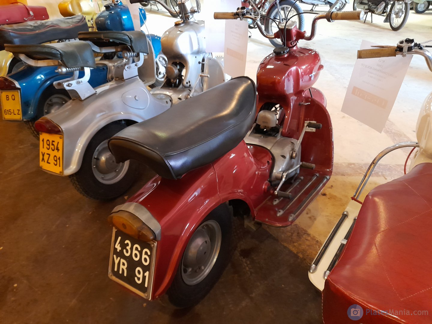 4366 YR 91, Rumi Formichino 