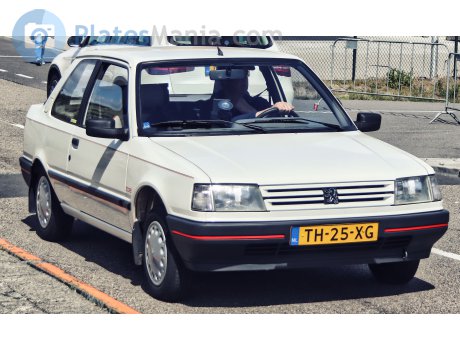 TH-25-XG, Peugeot 309
