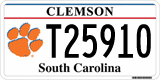 South Carolina, Specialty plates (A12345 / AB12345)