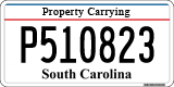 South Carolina, Property Carrying (P123456)