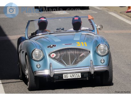 AG 49114, Austin-Healey 100/3000