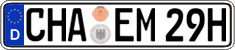 German license plate, Plates for oldtimers (type 