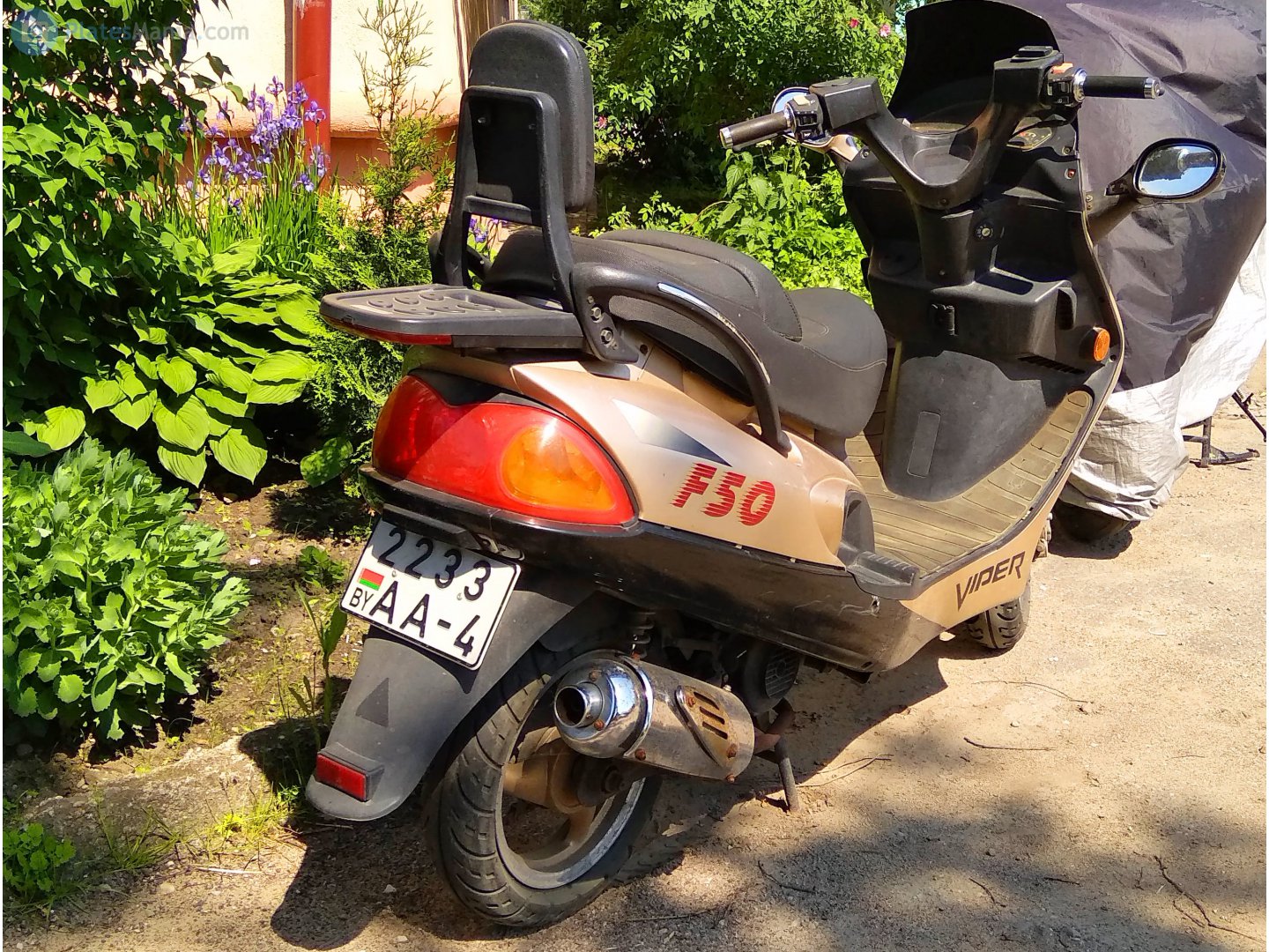 2233 AA-4, Viper F50 