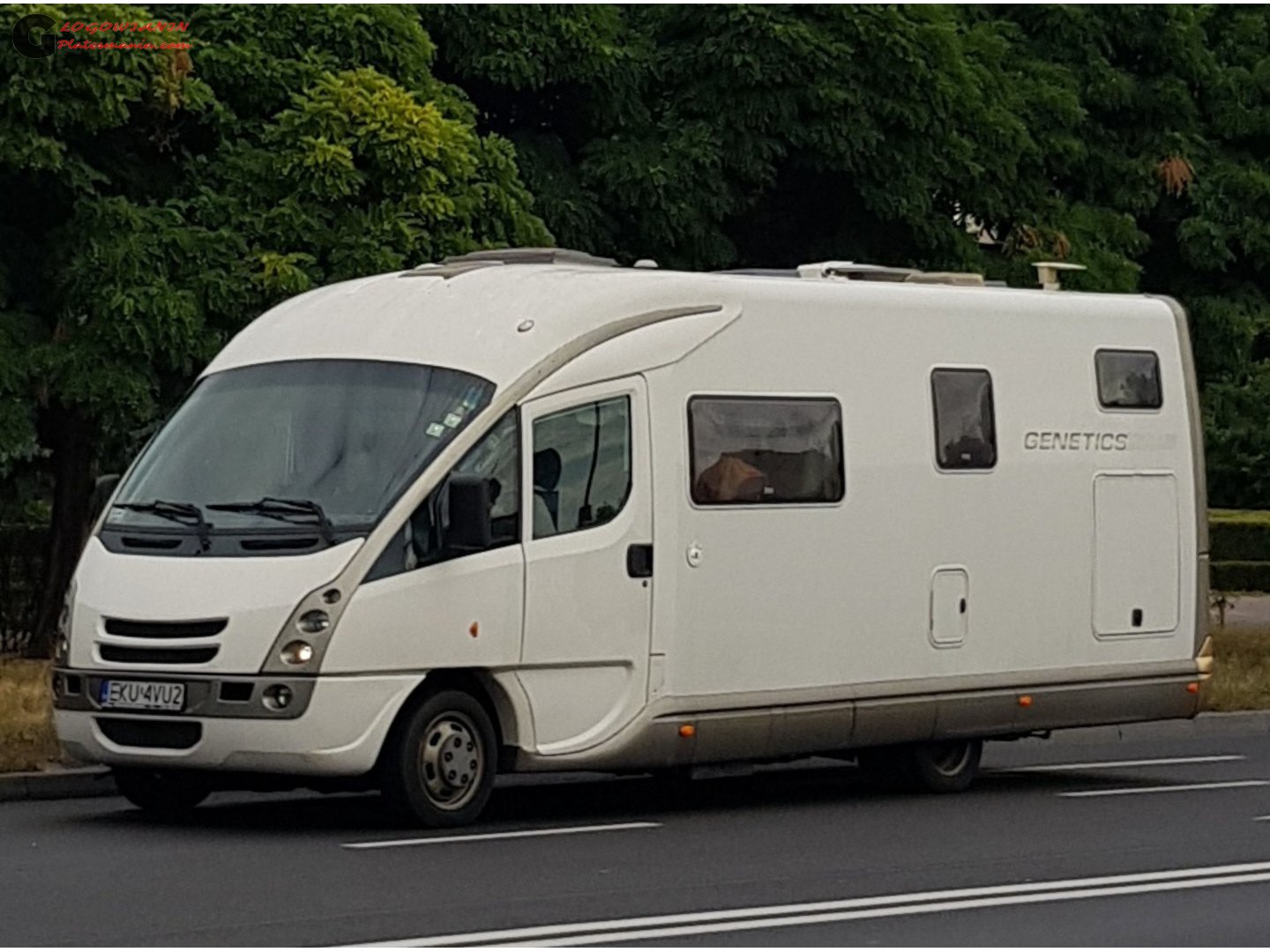 EKU 4VU2, GiottiLine Genetics 