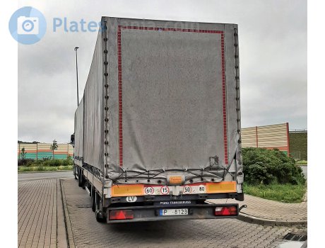 P-8123, Mono-Transserviss CD